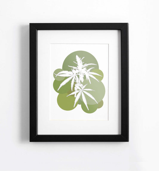 bubbles planta print