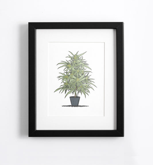 planta shrub print