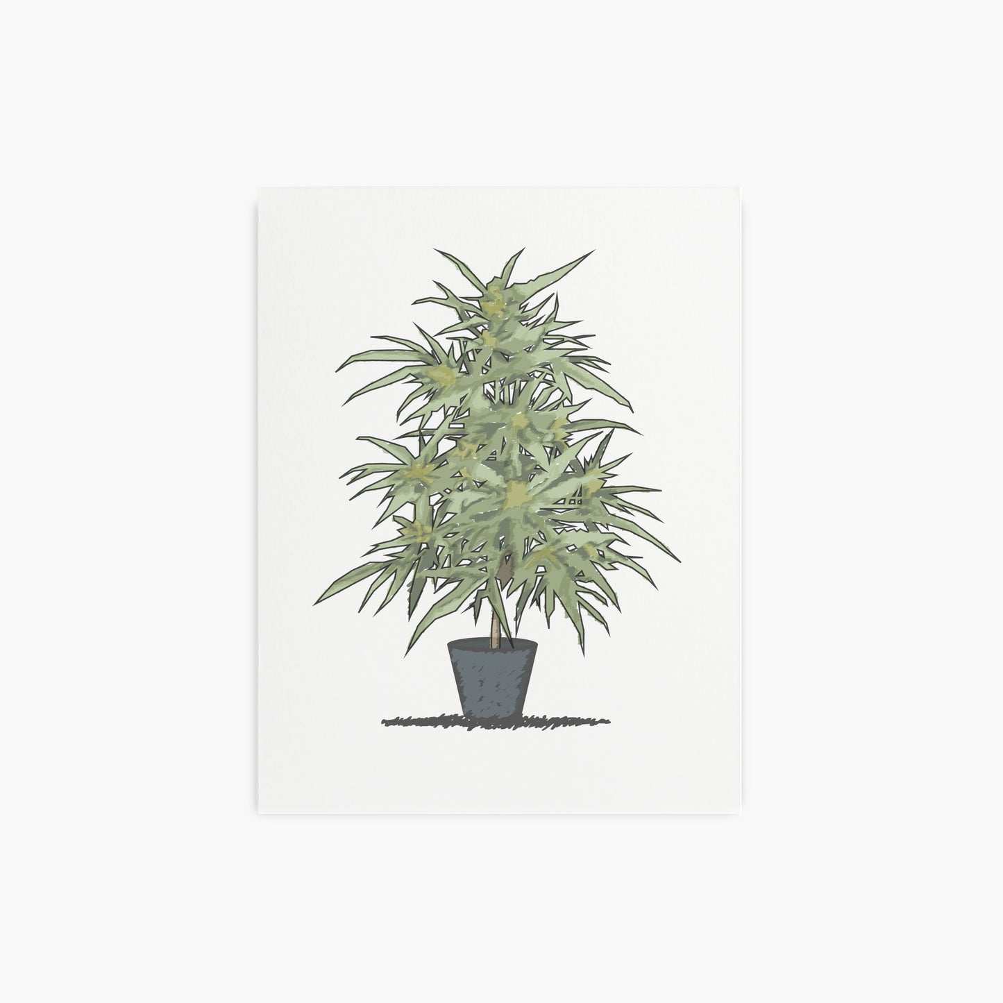 planta shrub print